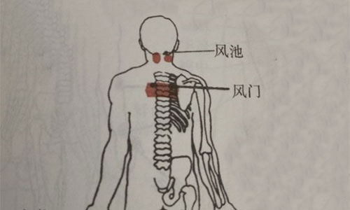 辽宁美容托玛琳床垫礼品