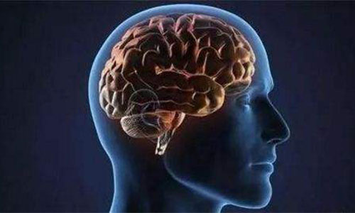 辽宁美容托玛琳床垫厂家